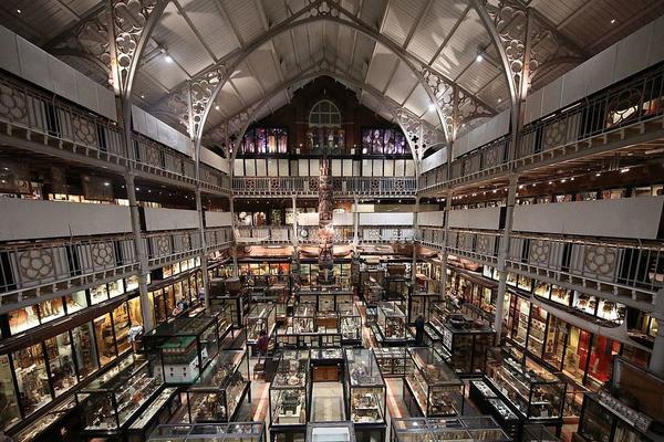 pitt rivers museum profile picture